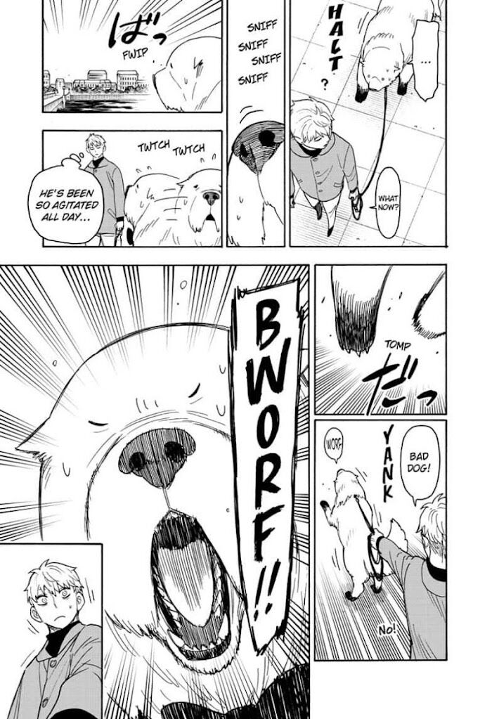Spy x Family, Chapter 58 image 13